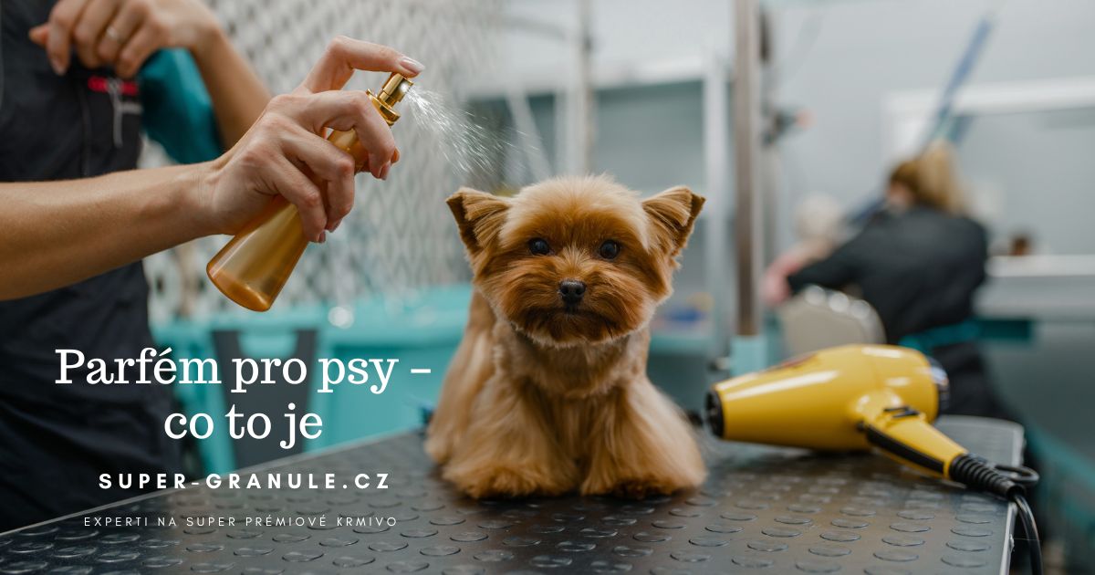 parfem-pro-psy (3)
